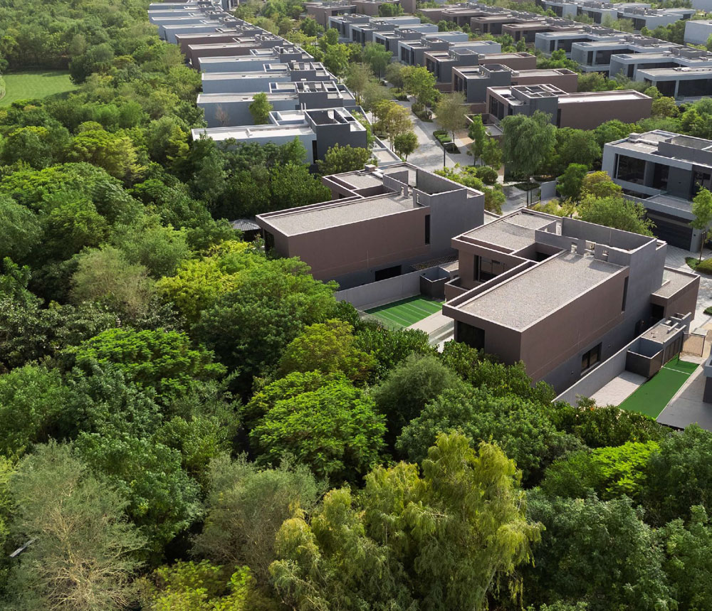 Forest community